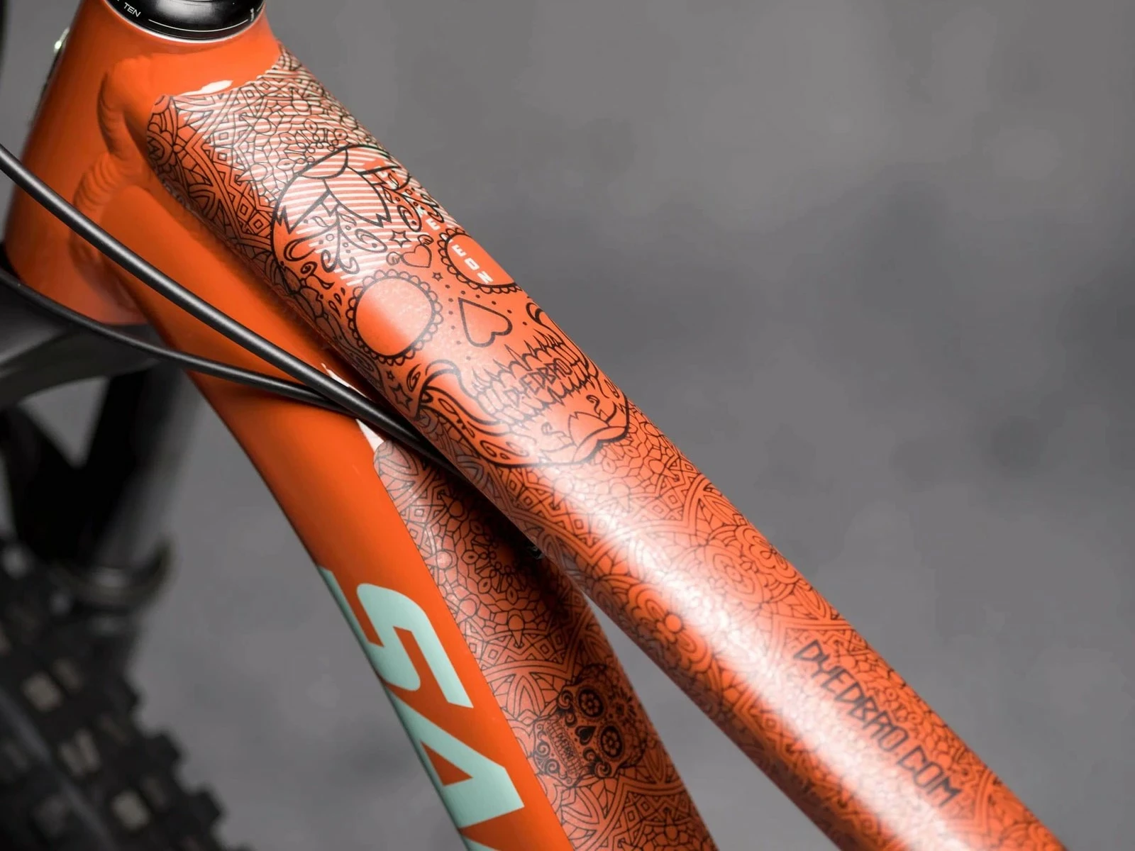 DYEDBRO “Día De Muertos” Stickers De Protection De Cadre VTT – Image 3